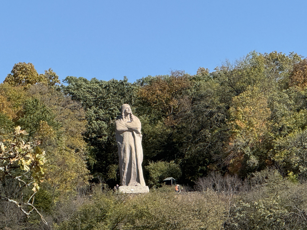 IMG_0883 copy